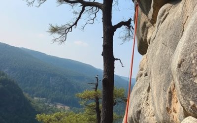 Choosing and Rigging Tree Anchors for Lead Rope Solo Climbing